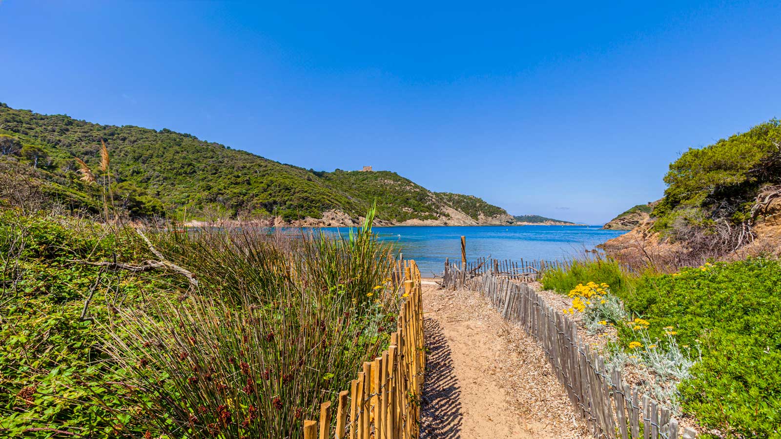 Île de Port Cros